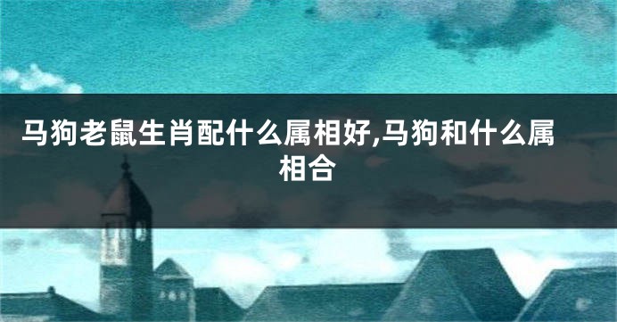 马狗老鼠生肖配什么属相好,马狗和什么属相合