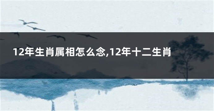 12年生肖属相怎么念,12年十二生肖