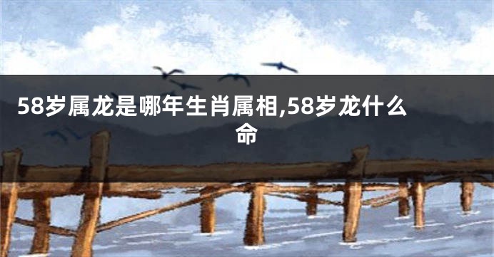 58岁属龙是哪年生肖属相,58岁龙什么命