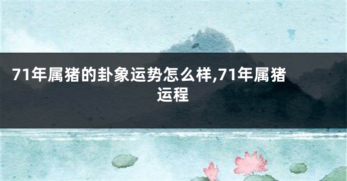 71年属猪的卦象运势怎么样,71年属猪运程