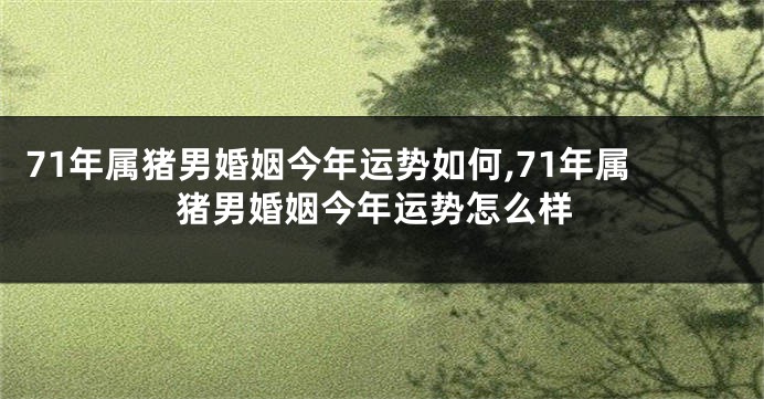 71年属猪男婚姻今年运势如何,71年属猪男婚姻今年运势怎么样