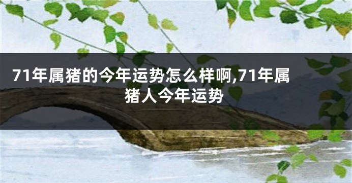 71年属猪的今年运势怎么样啊,71年属猪人今年运势