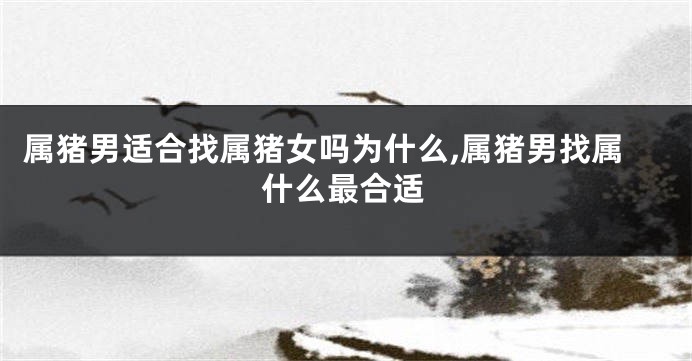 属猪男适合找属猪女吗为什么,属猪男找属什么最合适