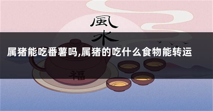 属猪能吃番薯吗,属猪的吃什么食物能转运