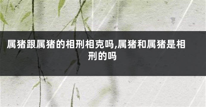 属猪跟属猪的相刑相克吗,属猪和属猪是相刑的吗