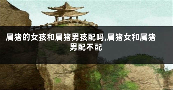 属猪的女孩和属猪男孩配吗,属猪女和属猪男配不配