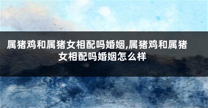 属猪鸡和属猪女相配吗婚姻,属猪鸡和属猪女相配吗婚姻怎么样