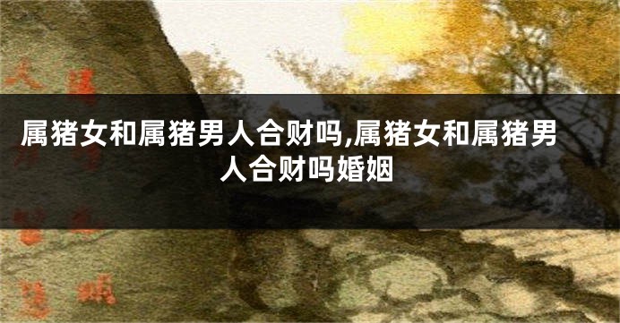 属猪女和属猪男人合财吗,属猪女和属猪男人合财吗婚姻