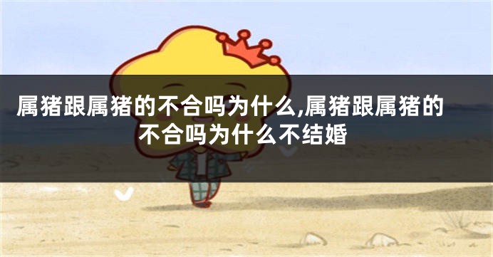 属猪跟属猪的不合吗为什么,属猪跟属猪的不合吗为什么不结婚