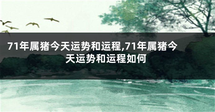 71年属猪今天运势和运程,71年属猪今天运势和运程如何
