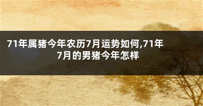 71年属猪今年农历7月运势如何,71年7月的男猪今年怎样