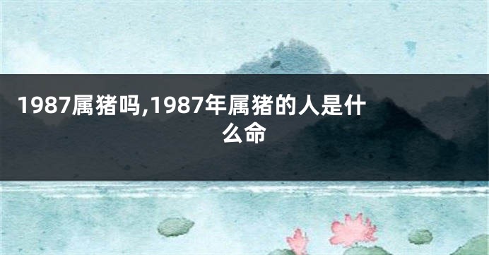 1987属猪吗,1987年属猪的人是什么命