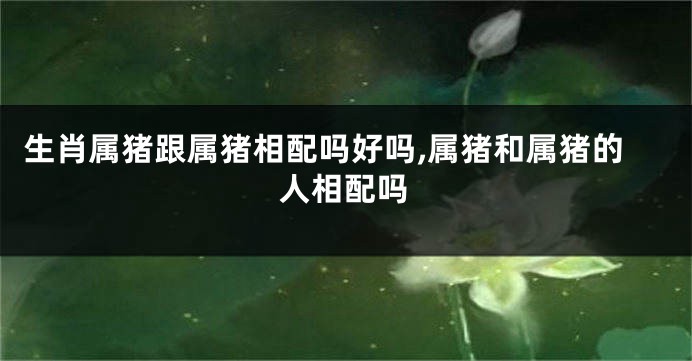 生肖属猪跟属猪相配吗好吗,属猪和属猪的人相配吗