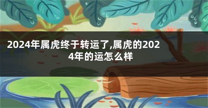 2024年属虎终于转运了,属虎的2024年的运怎么样