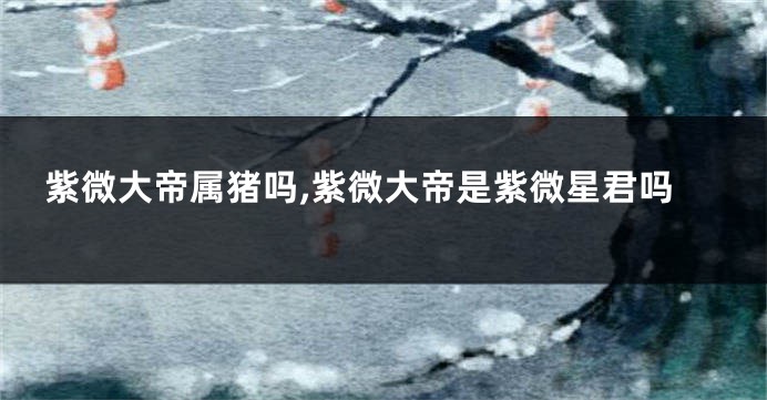 紫微大帝属猪吗,紫微大帝是紫微星君吗