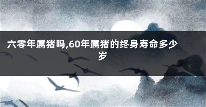 六零年属猪吗,60年属猪的终身寿命多少岁