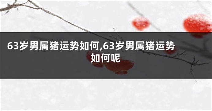 63岁男属猪运势如何,63岁男属猪运势如何呢