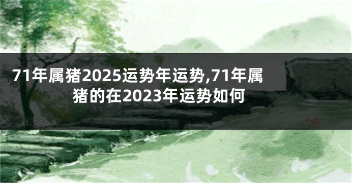 71年属猪2025运势年运势,71年属猪的在2023年运势如何