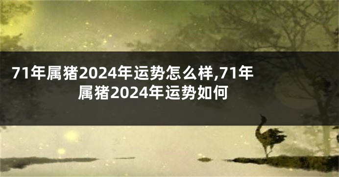 71年属猪2024年运势怎么样,71年属猪2024年运势如何