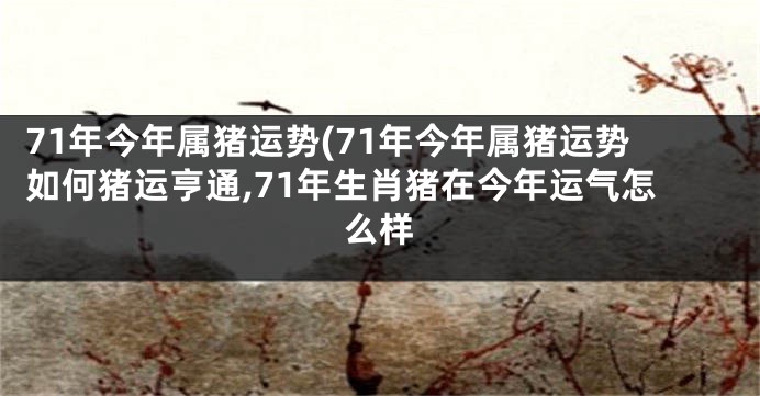 71年今年属猪运势(71年今年属猪运势如何猪运亨通,71年生肖猪在今年运气怎么样