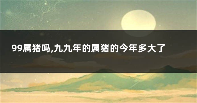 99属猪吗,九九年的属猪的今年多大了