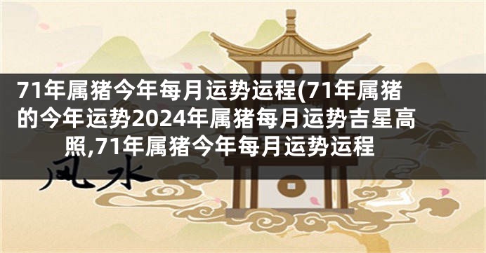 71年属猪今年每月运势运程(71年属猪的今年运势2024年属猪每月运势吉星高照,71年属猪今年每月运势运程
