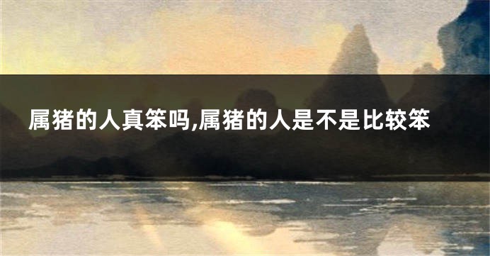 属猪的人真笨吗,属猪的人是不是比较笨