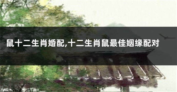 鼠十二生肖婚配,十二生肖鼠最佳姻缘配对