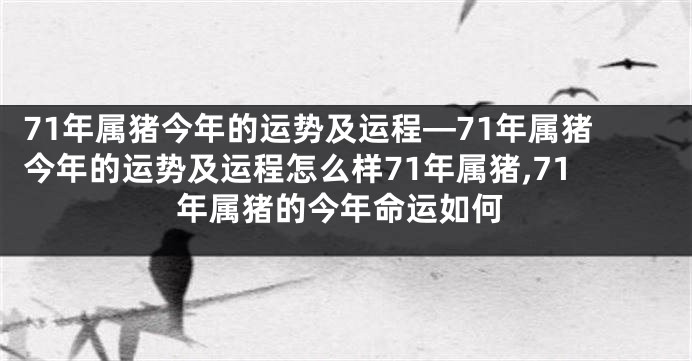 71年属猪今年的运势及运程—71年属猪今年的运势及运程怎么样71年属猪,71年属猪的今年命运如何