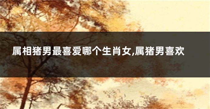 属相猪男最喜爱哪个生肖女,属猪男喜欢