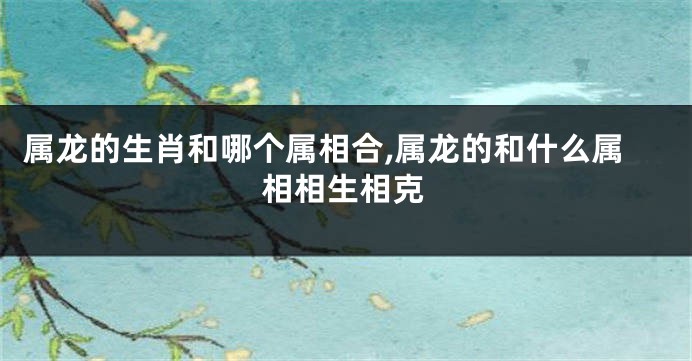 属龙的生肖和哪个属相合,属龙的和什么属相相生相克
