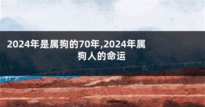 2024年是属狗的70年,2024年属狗人的命运