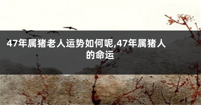 47年属猪老人运势如何呢,47年属猪人的命运