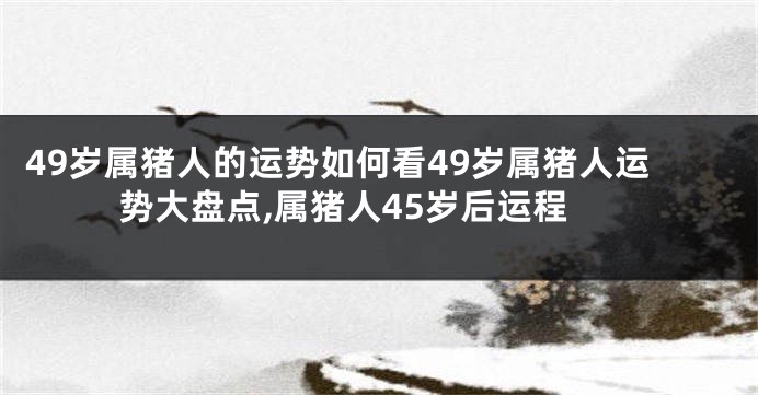 49岁属猪人的运势如何看49岁属猪人运势大盘点,属猪人45岁后运程