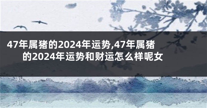 47年属猪的2024年运势,47年属猪的2024年运势和财运怎么样呢女