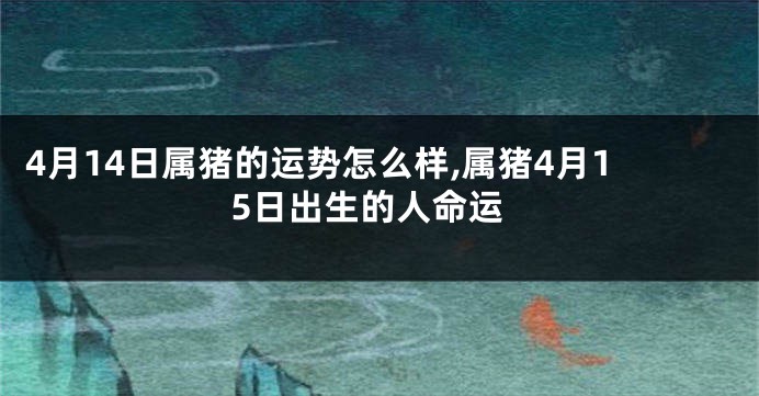 4月14日属猪的运势怎么样,属猪4月15日出生的人命运