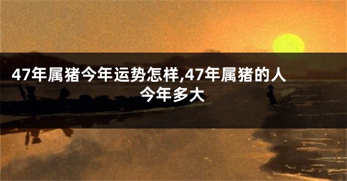 47年属猪今年运势怎样,47年属猪的人今年多大