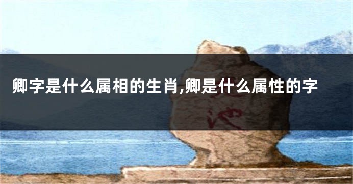 卿字是什么属相的生肖,卿是什么属性的字