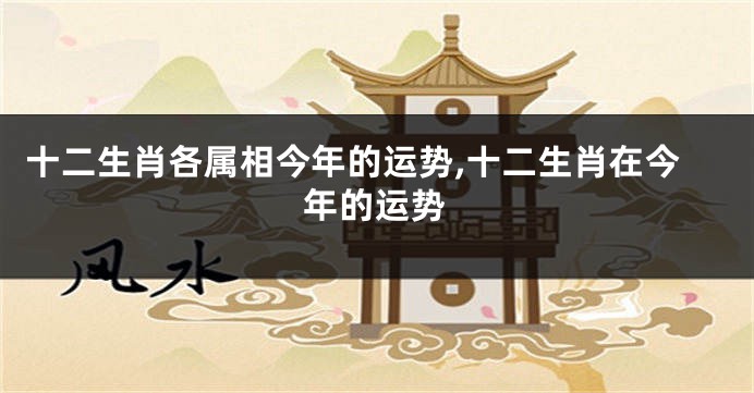 十二生肖各属相今年的运势,十二生肖在今年的运势
