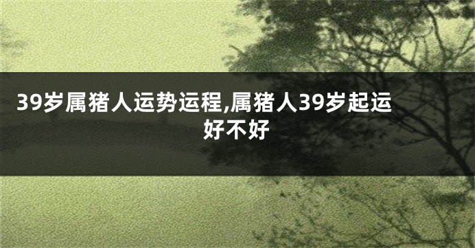 39岁属猪人运势运程,属猪人39岁起运好不好