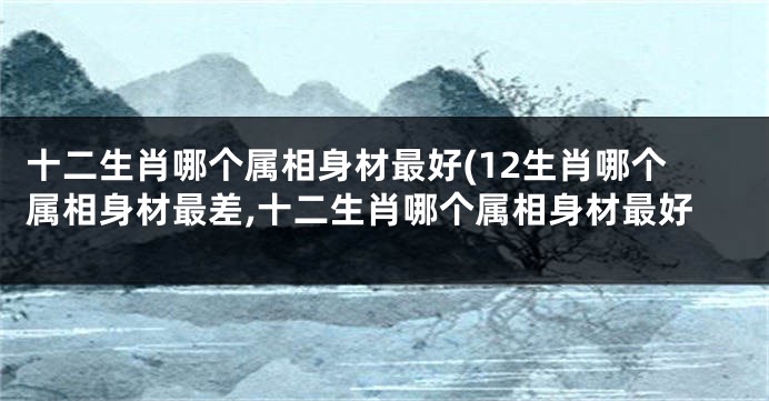 十二生肖哪个属相身材最好(12生肖哪个属相身材最差,十二生肖哪个属相身材最好