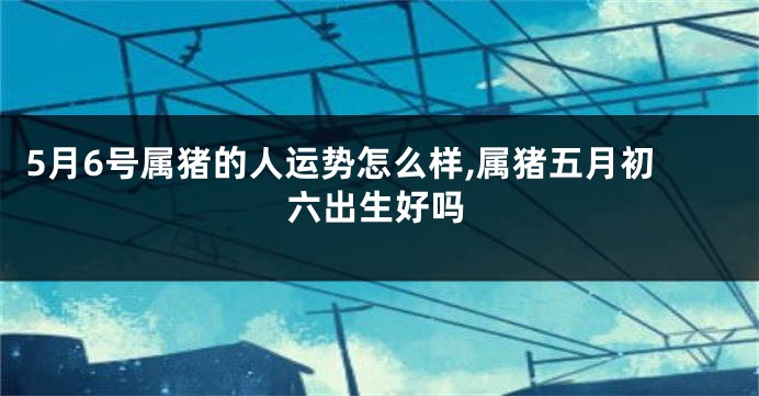 5月6号属猪的人运势怎么样,属猪五月初六出生好吗