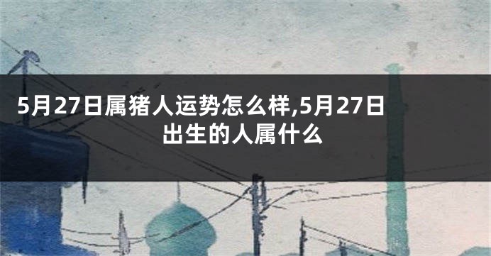 5月27日属猪人运势怎么样,5月27日出生的人属什么