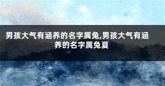 男孩大气有涵养的名字属兔,男孩大气有涵养的名字属兔夏