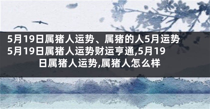 5月19日属猪人运势、属猪的人5月运势5月19日属猪人运势财运亨通,5月19日属猪人运势,属猪人怎么样