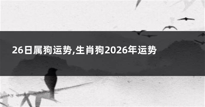 26日属狗运势,生肖狗2026年运势