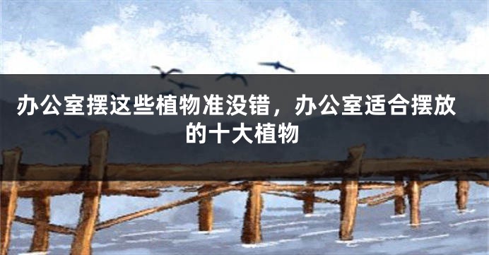 办公室摆这些植物准没错，办公室适合摆放的十大植物