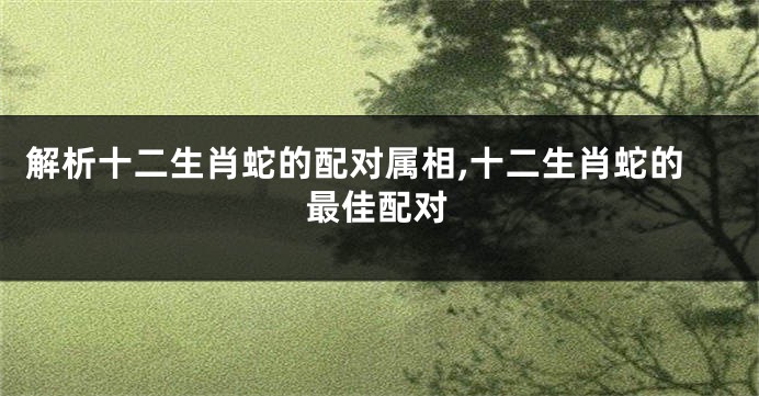 解析十二生肖蛇的配对属相,十二生肖蛇的最佳配对