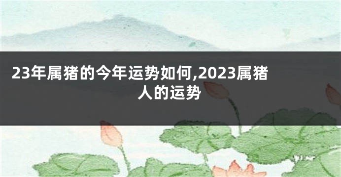 23年属猪的今年运势如何,2023属猪人的运势