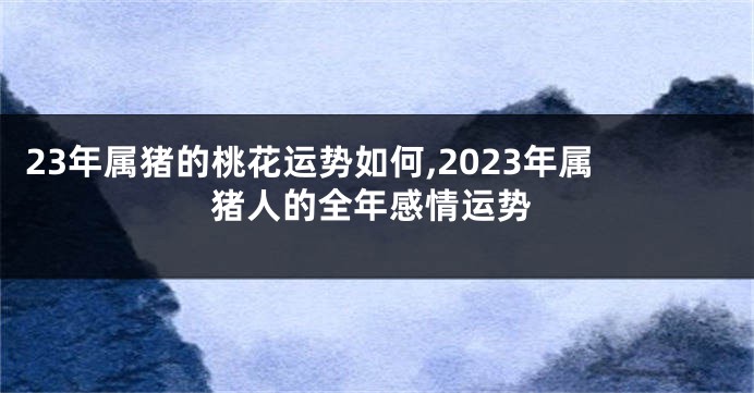 23年属猪的桃花运势如何,2023年属猪人的全年感情运势